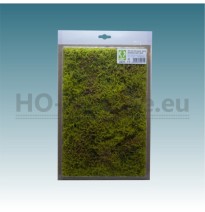 Wildnis mit Büschen – Frühling