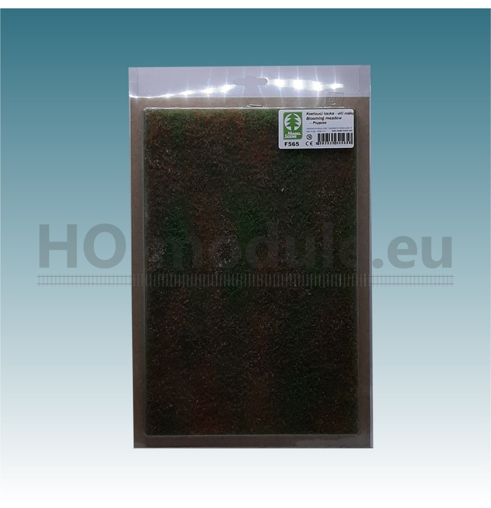 Blumenwiese – Mohnblumen