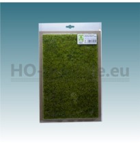 Blühende Wiese – Frühling