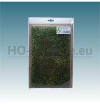 Blühende Wiese – Frühsommer