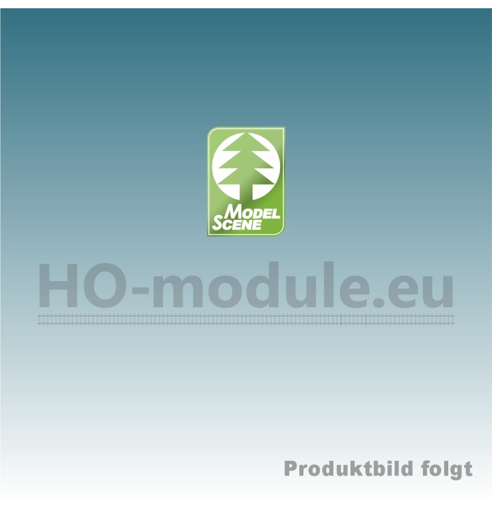 Blühende Wiese – Frühling – Minipack