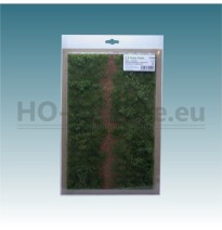 Bahndammbegrünung – Frühsommer