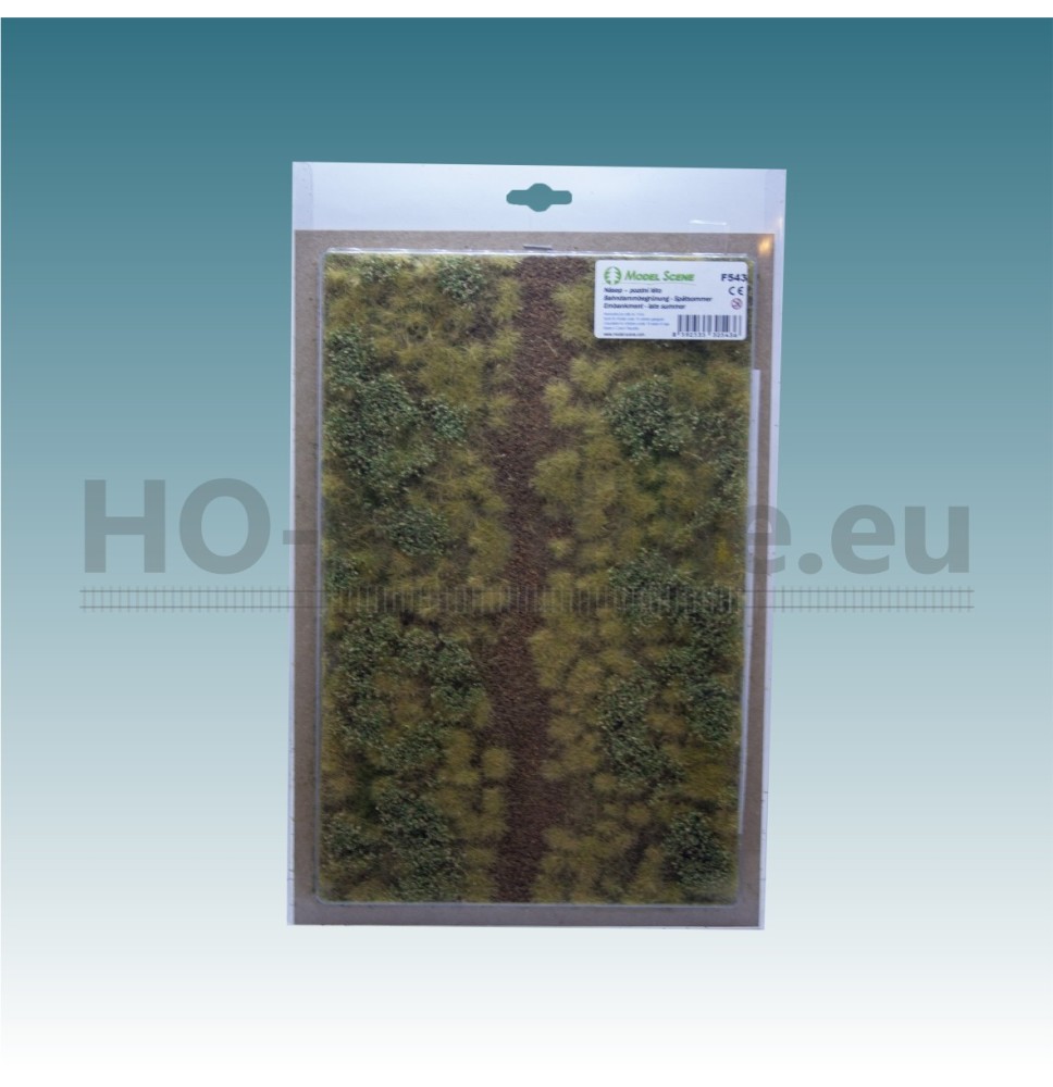 Bahndammbegrünung – Spätsommer