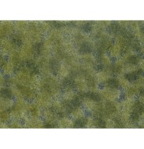 Bodendecker-Foliage mittelgrün