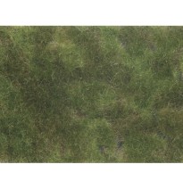 Bodendecker-Foliage olivgrün