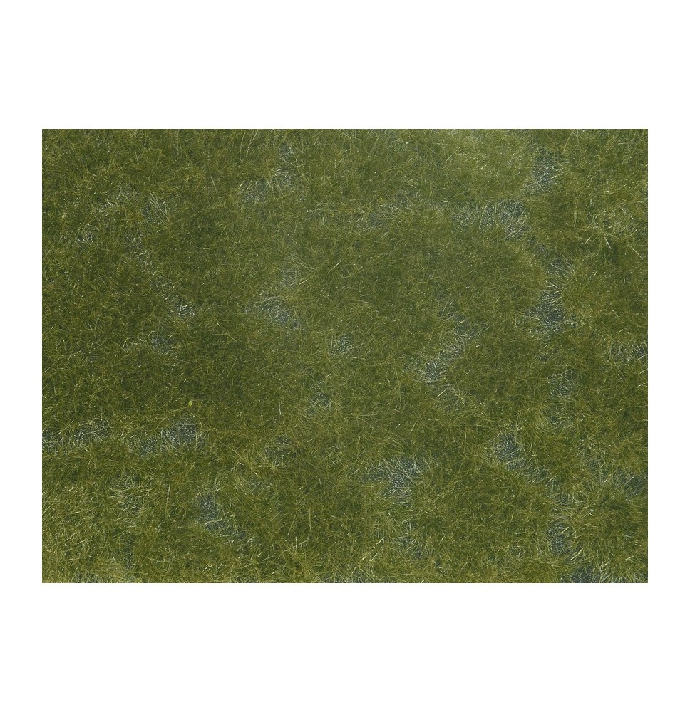 Bodendecker-Foliage dunkelgrün