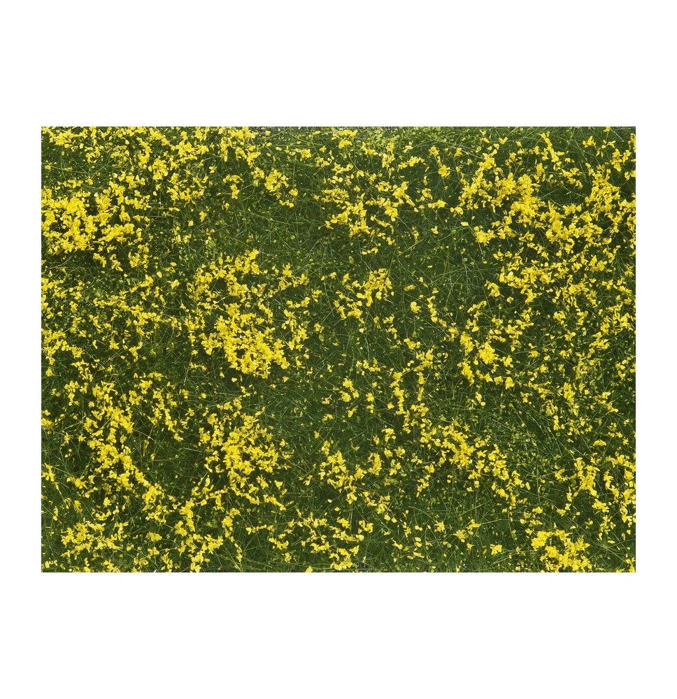 Bodendecker-Foliage Wiese gelb