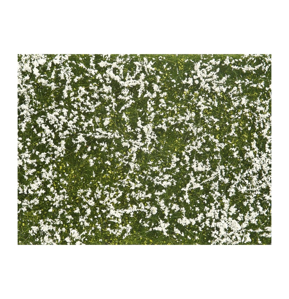 Bodendecker-Foliage Wiese weiß