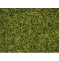 Master-Grasmischung “Sommerwiese”