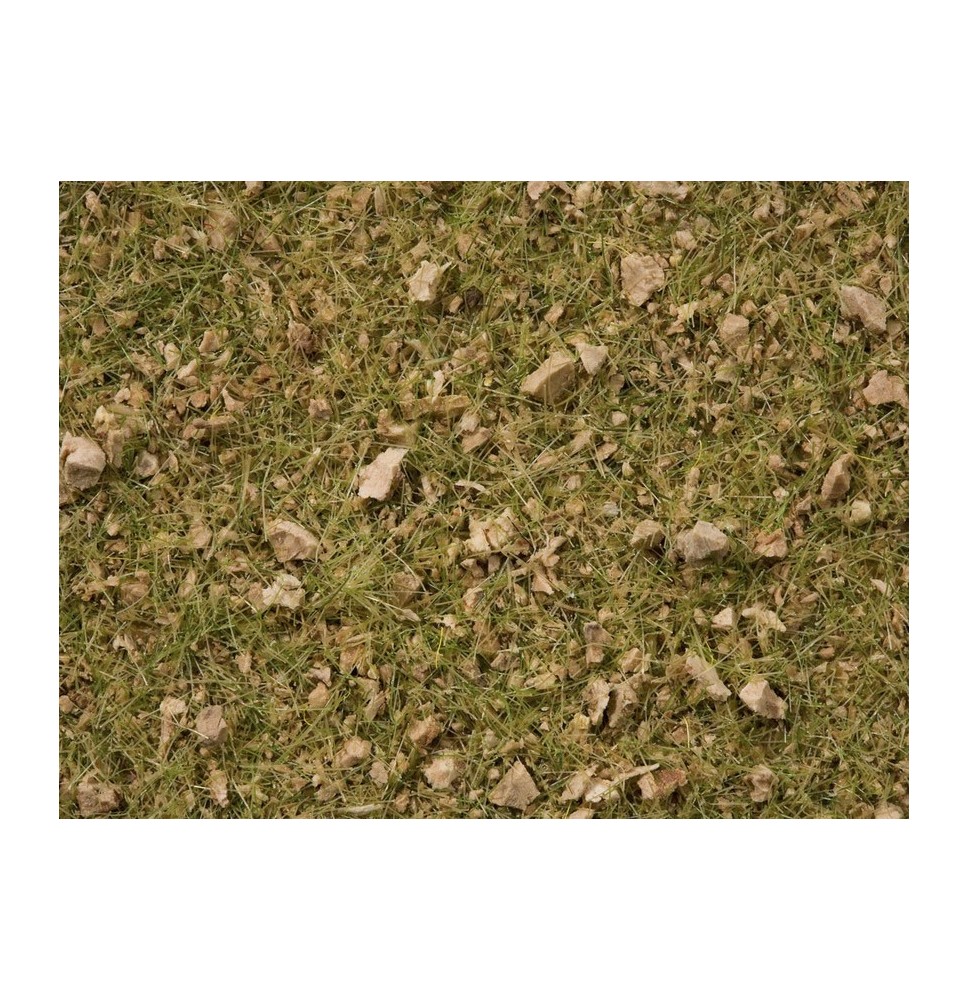 Master-Grasmischung “Almwiese”