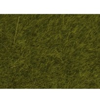 Wildgras “Wiese”