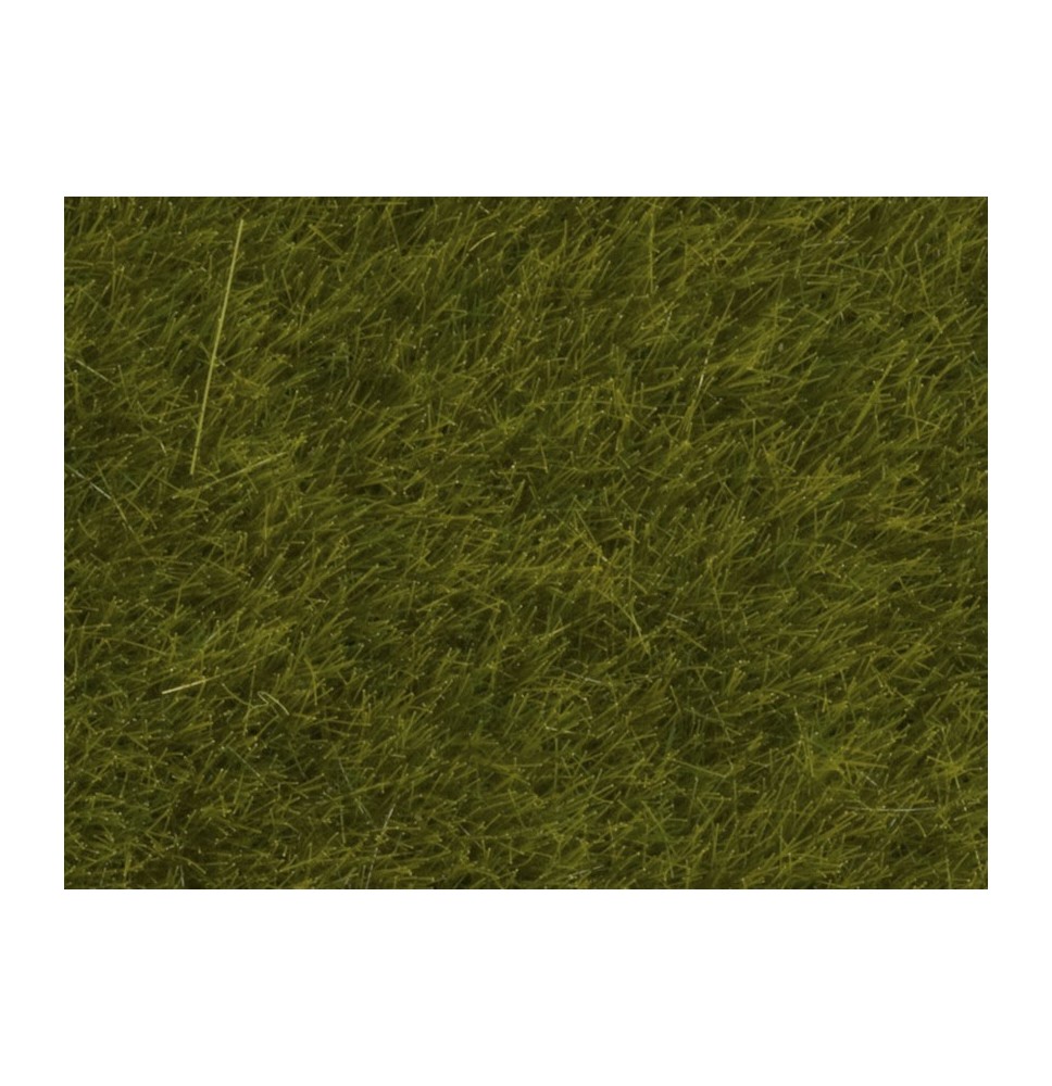 Wildgras “Wiese”