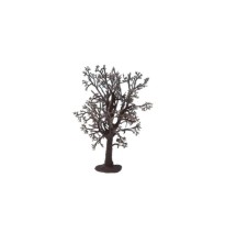 Baumrohling “Buche”