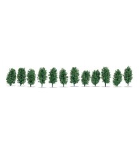 Thuja-Hecke
