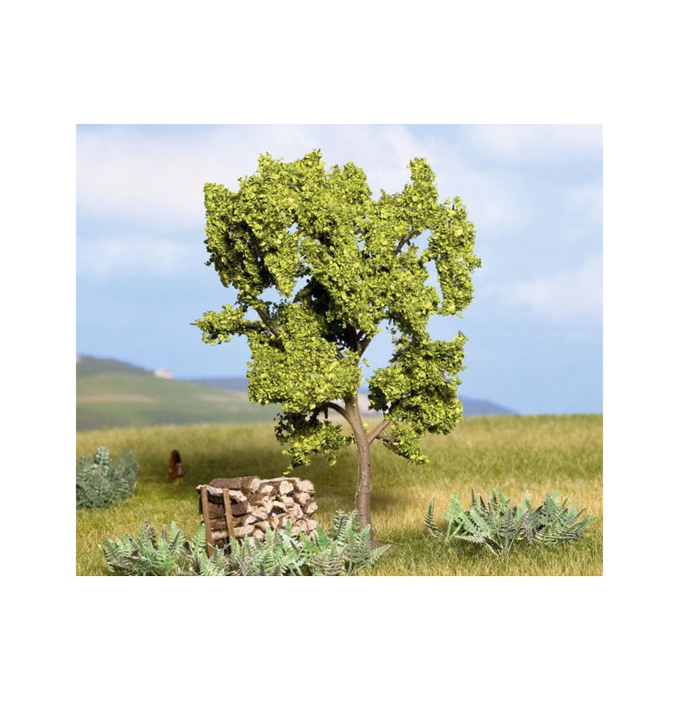 Birnbaum
