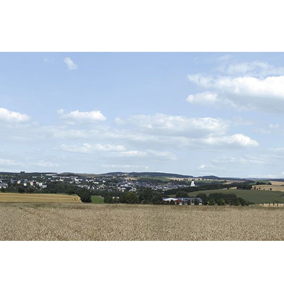HT Hintergrund Erzgebirge 2