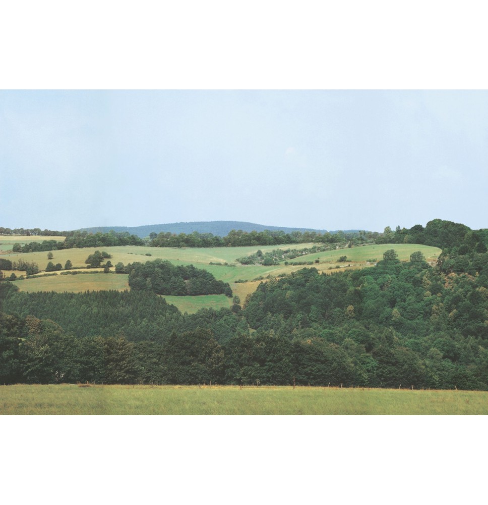 HT Hintergr.Wolkenstein/Erzge