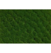 Grasbüschel Frühling 2-10mm