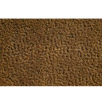 Grasbüschel Herbst 2-6mm