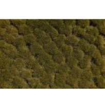 Grasbüschel Herbst 2-10mm