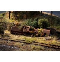 Vergessener Ort “Lokomotive”