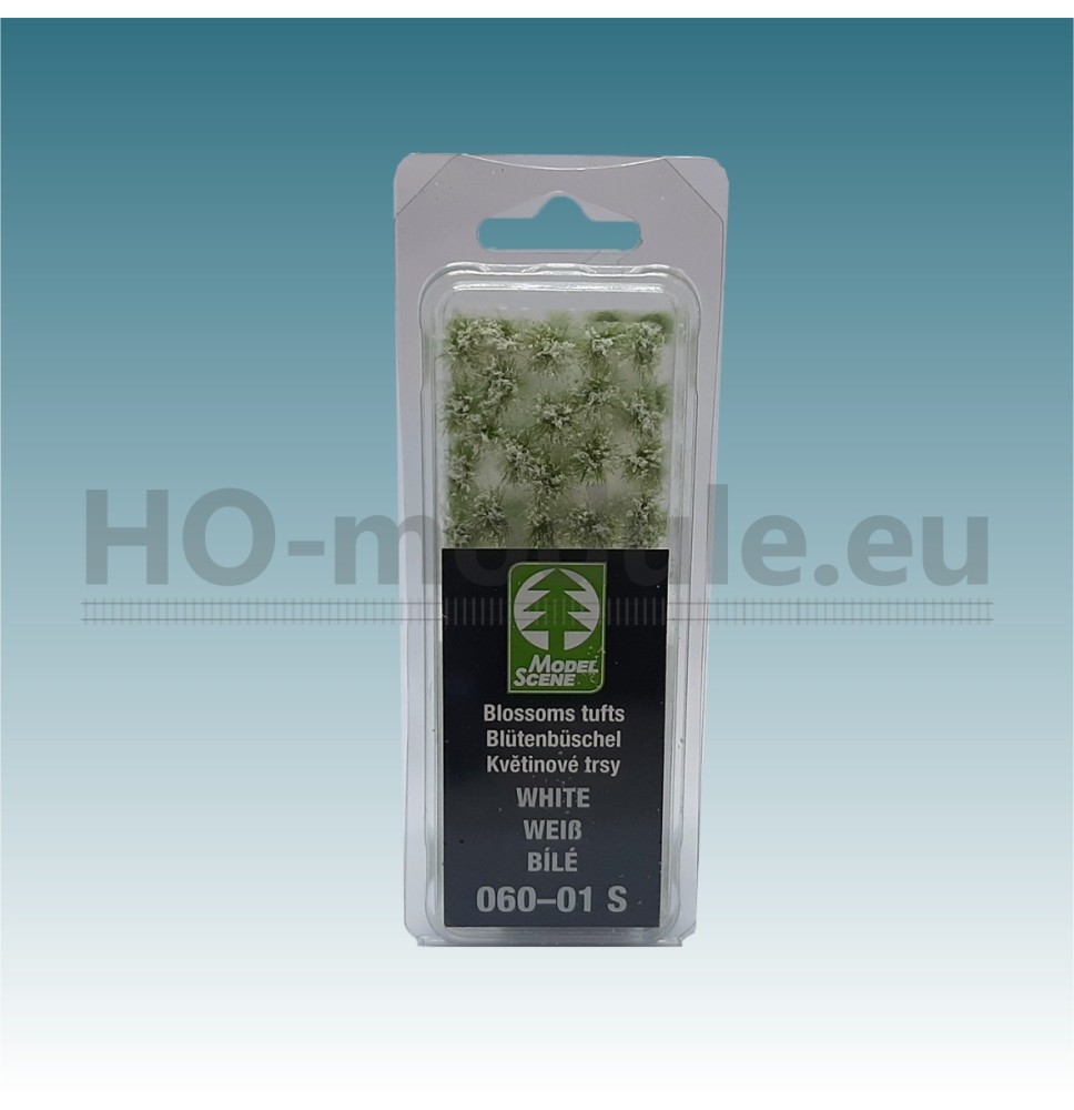 Blütenbüschel weiß