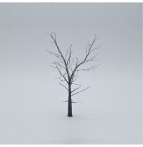 Baum-Skelett – Buche 80 mm