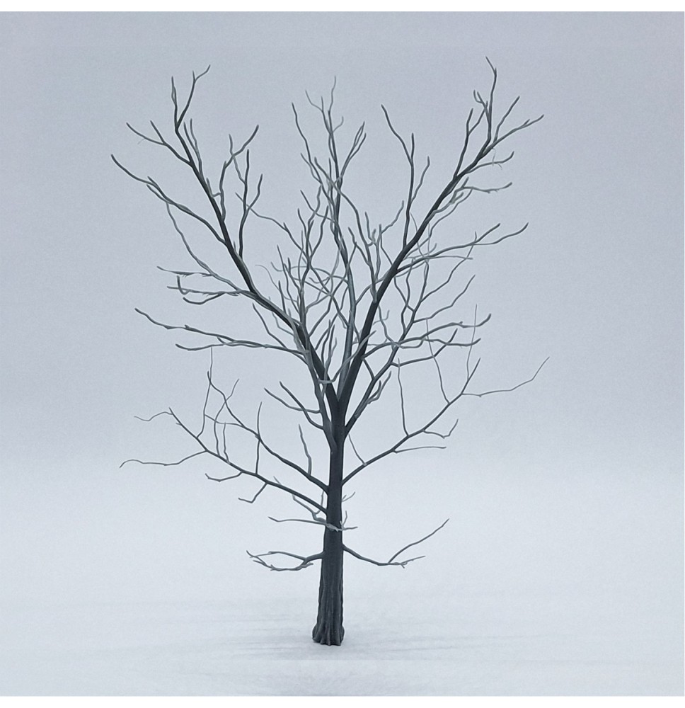 Baum-Skelett – Buche 140 mm