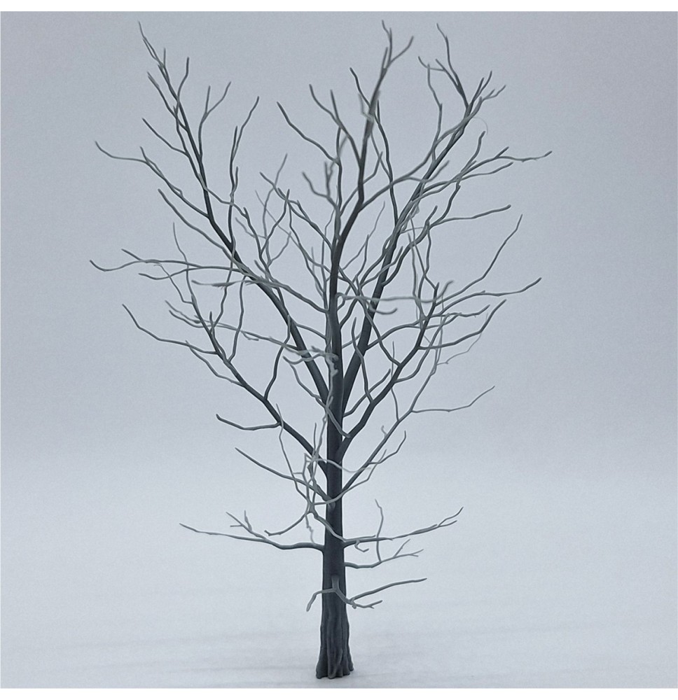 Baum-Skelett – Buche 160 mm