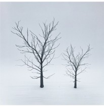 Baum-Skelett – Buche 120 und 80 mm