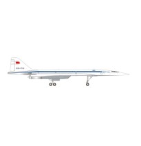 TU-144D Aeroflot (Sinsheim)