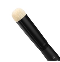 SET OF DRY BRUSHES
