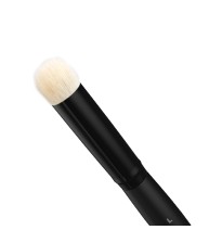 SET OF DRY BRUSHES