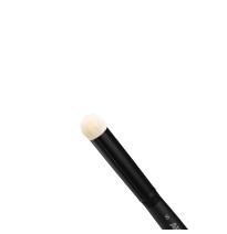 SET OF DRY BRUSHES