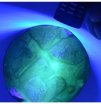 TRANSPARENT UV RESIN WATER