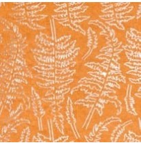 Dry Fern