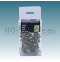 Blütenbüschel – weiß