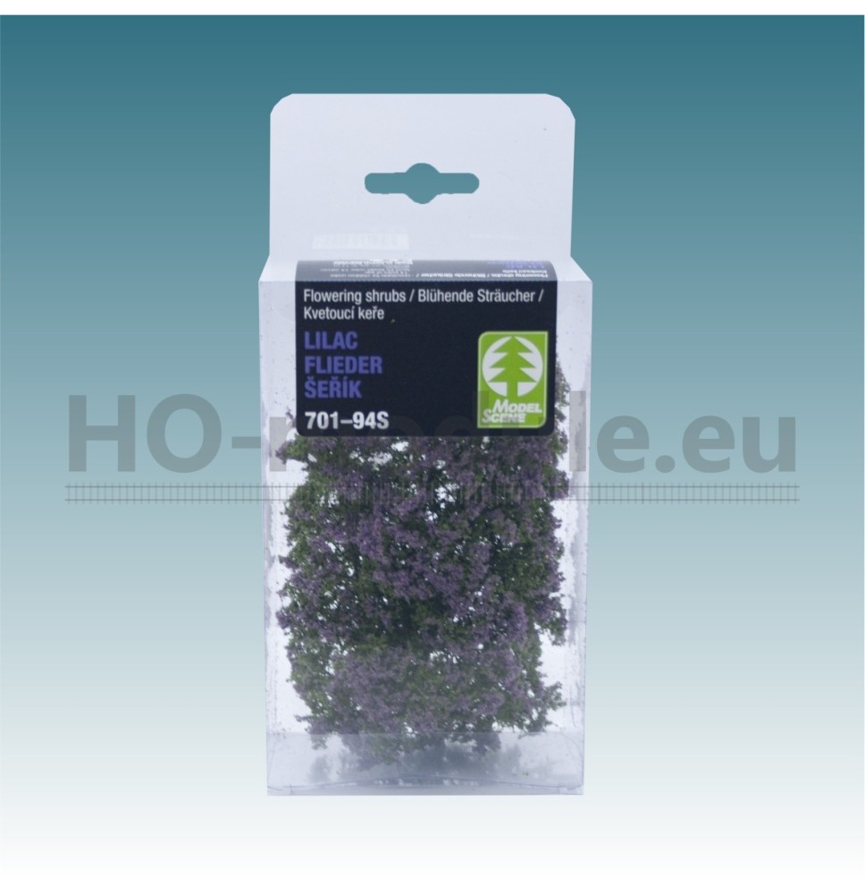 Blütenbüschel – lila