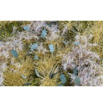 Baumblätter – Eiche – grün