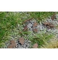 Baumblätter – Eiche – zusätzliche Farben