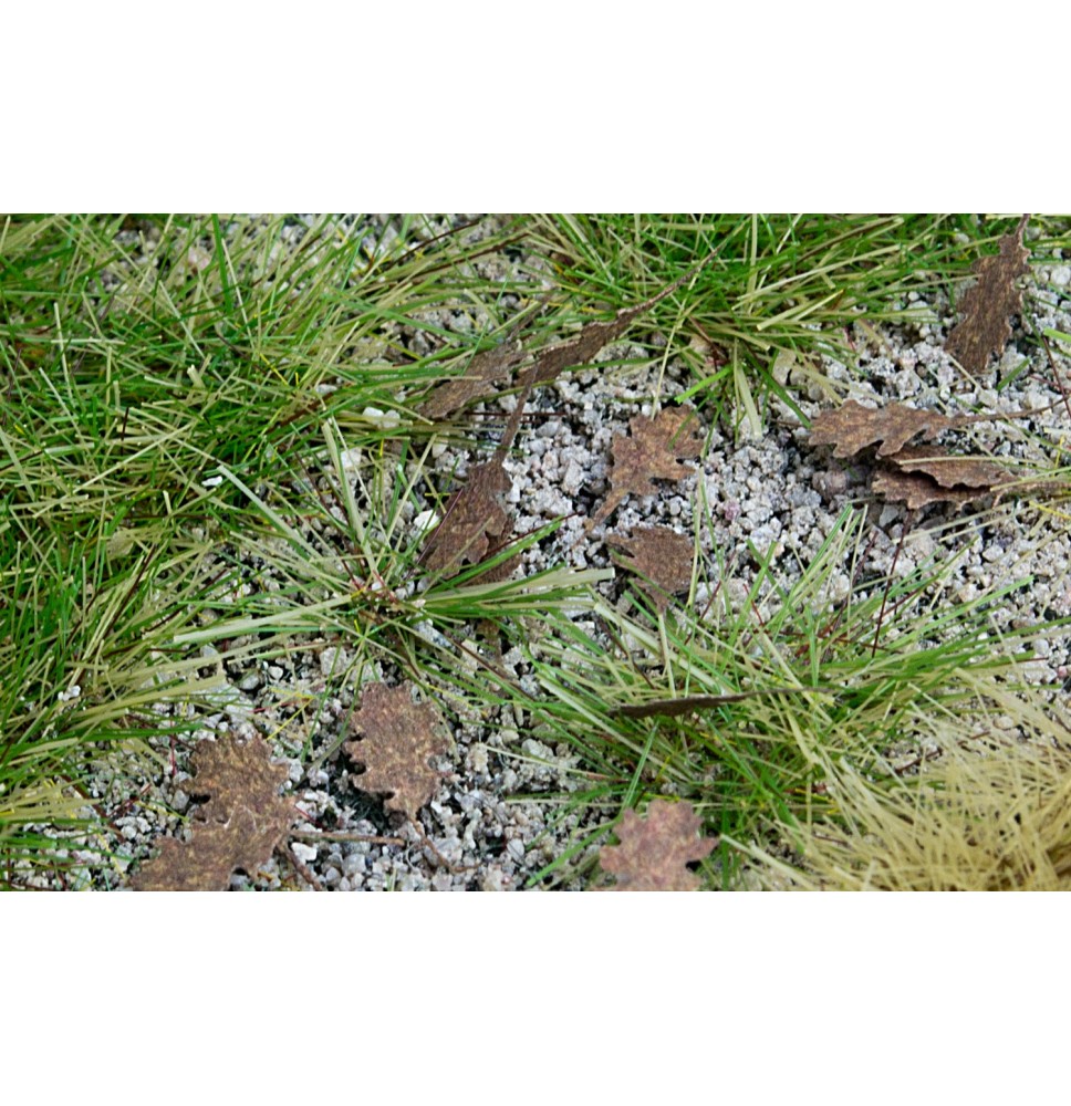 Baumblätter – Eiche – zusätzliche Farben