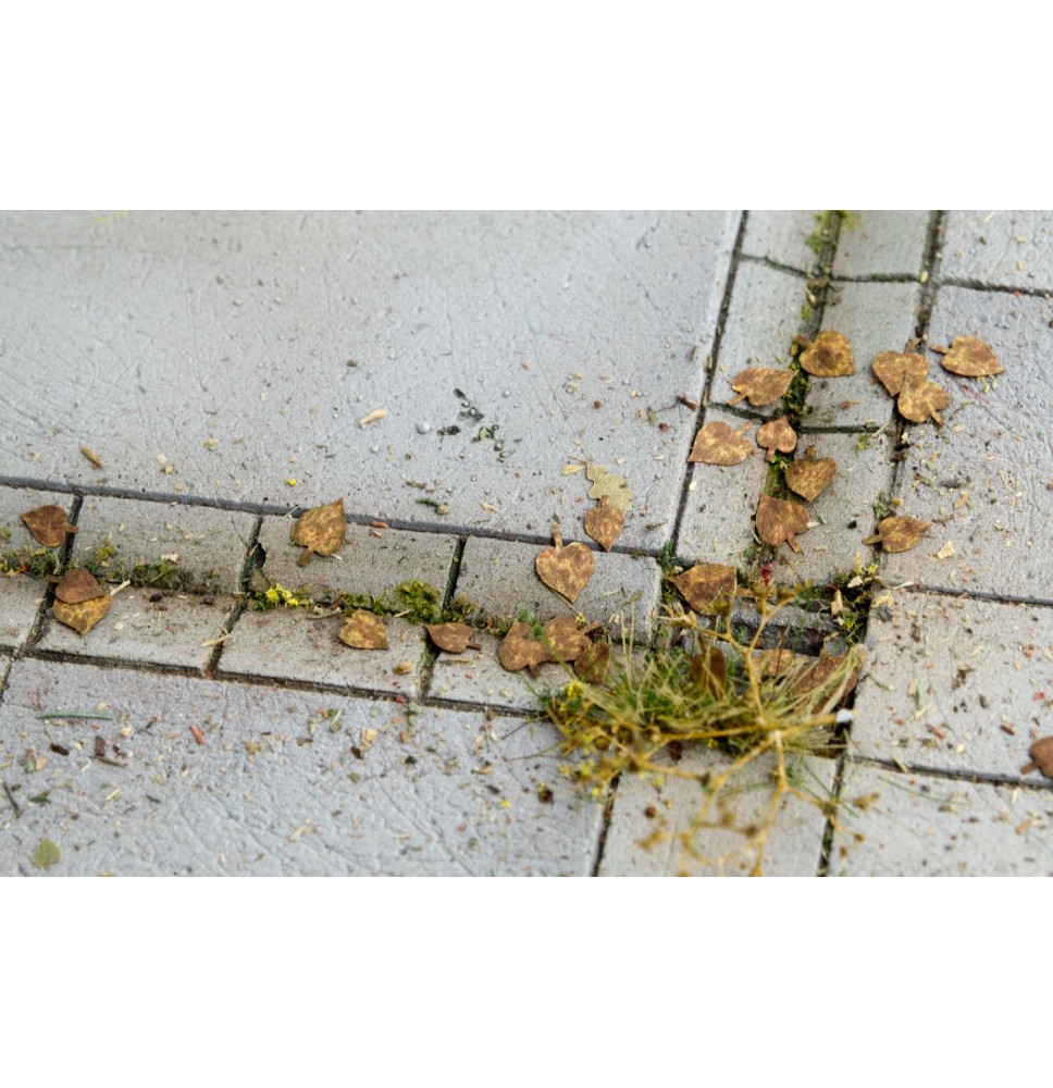 Baumblätter – Linde – zusätzliche Farben