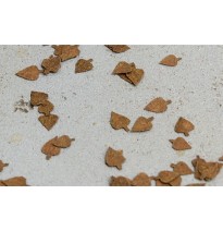 Baumblätter – Birke – zusätzliche Farben