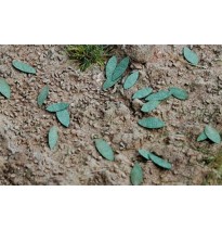 Baumblätter – universal – grün