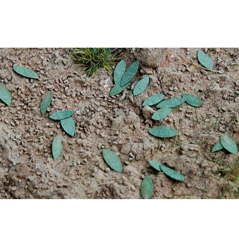 Baumblätter – universal – grün