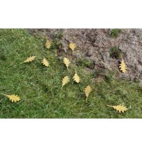 Baumblätter – Eiche rot – trocken