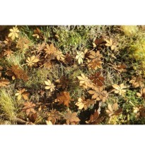 Baumblätter – Kastanie – extra