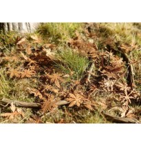 Baumblätter – Kastanie – verrottend