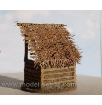 Baumblätter – Palmblätter – trocken I