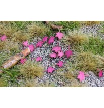 Baumblätter – Ahorn – trocken